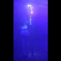 On the Pole